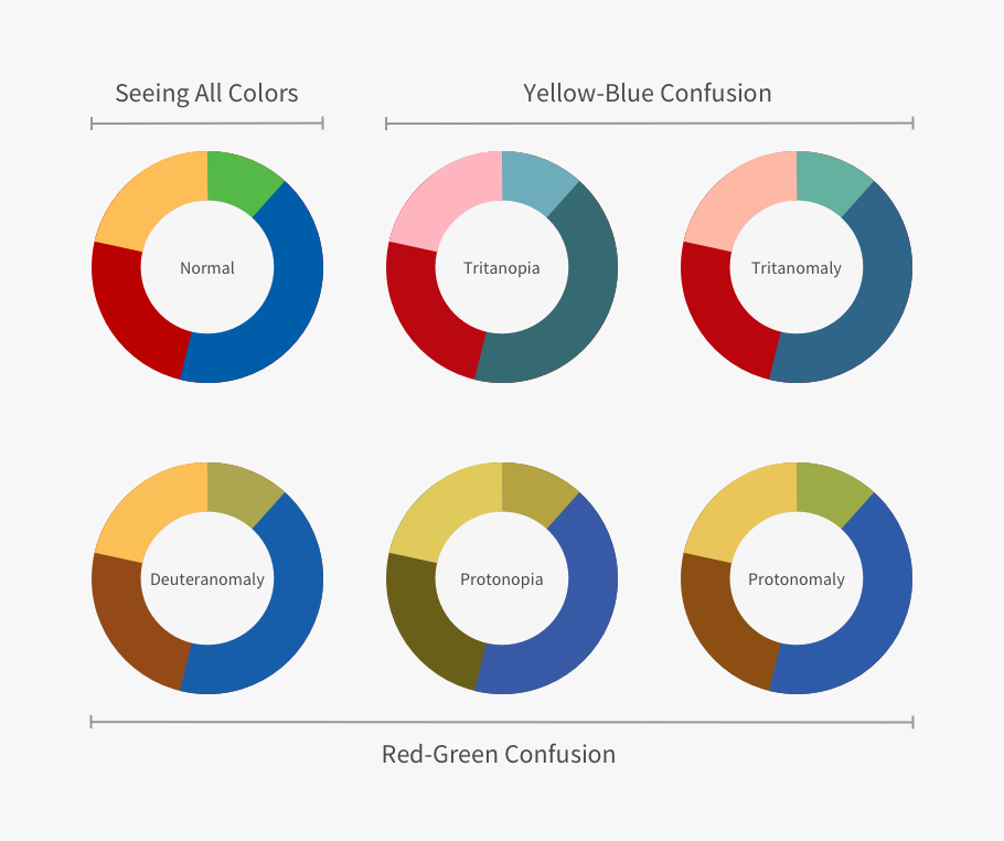 Portfolio project visual